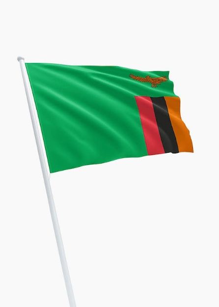 Vlag Zambia - 100x150cm Spun-Poly